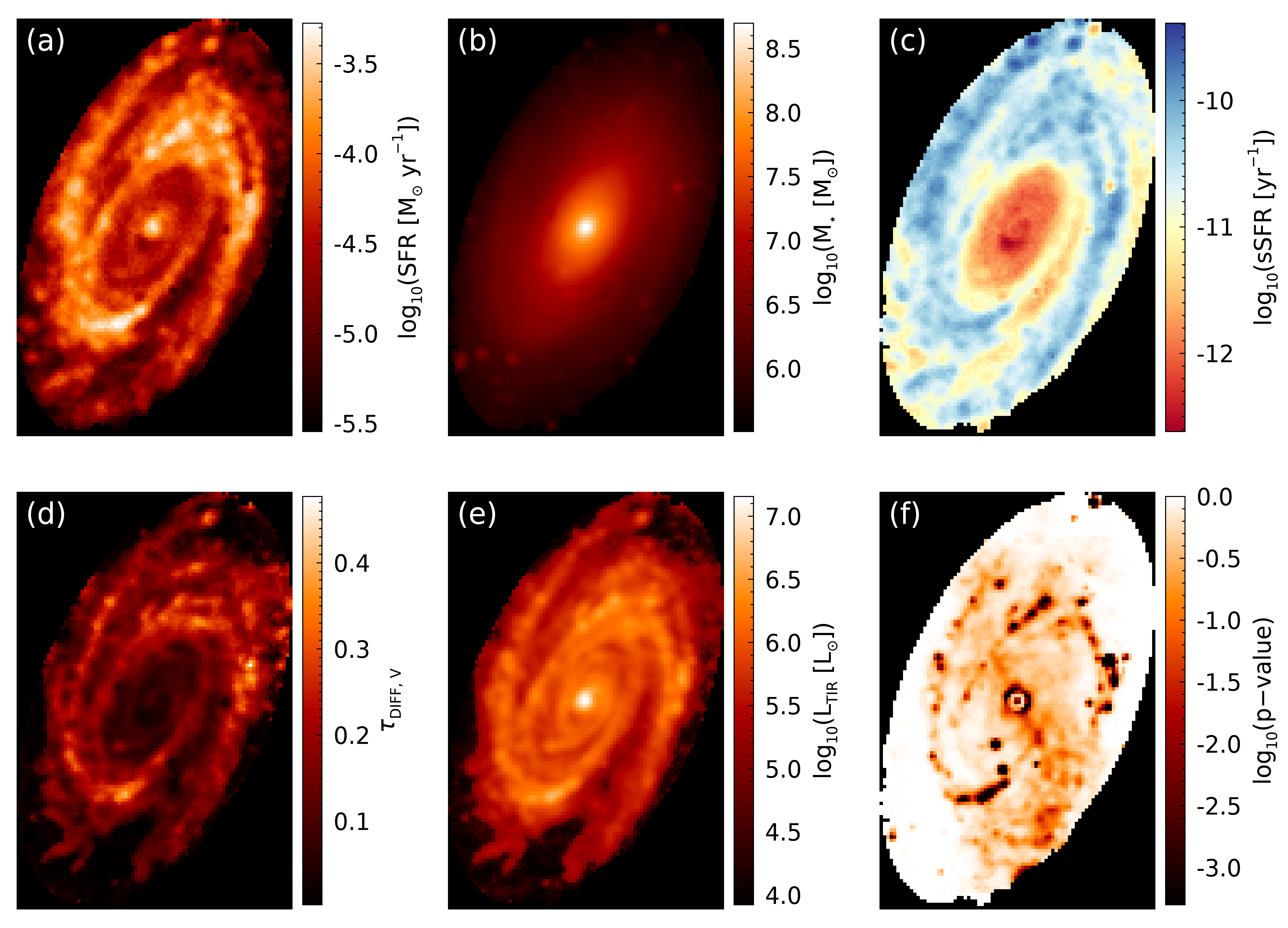 maps of the derived spatially resolved properties of M81.